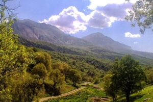تاثیرات طبیعت گردی بر سلامت جسم و روح